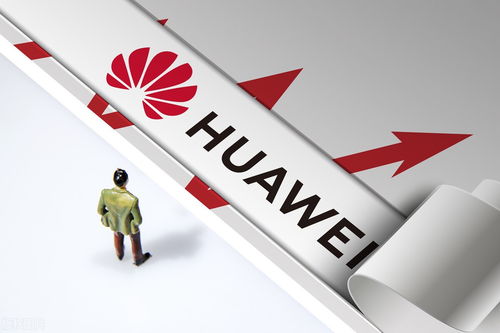 黄飞宏 华为的组织如何建立以客户为中心的企业文化