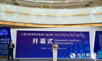 上合组织国家进口商品展在青岛成功举办，促进区域经济合作新机遇